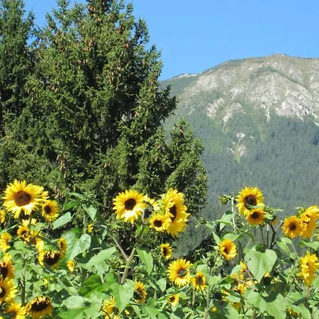 Apartament Landsitz Bichlhof