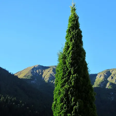 Lejlighed Landsitz Bichlhof