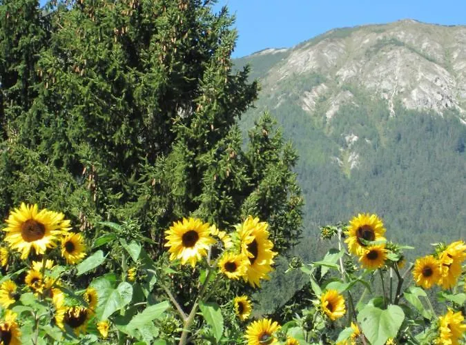 Appartement Landsitz Bichlhof