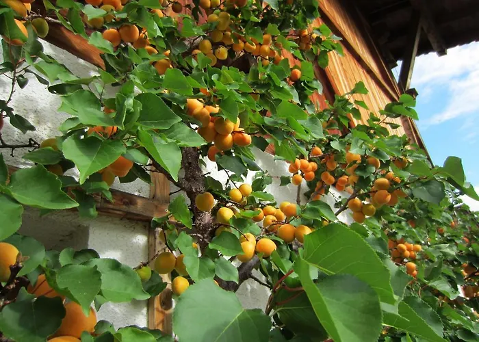 Landsitz Bichlhof Fulpmes