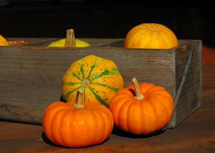 Appartement Landsitz Bichlhof Fulpmes