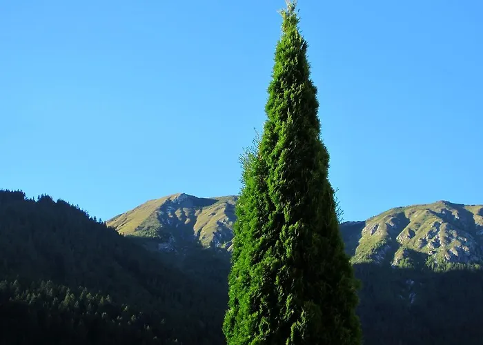 Apartament Landsitz Bichlhof