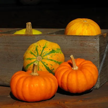 דירה Landsitz Bichlhof פולפמס